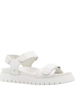 Wanderdust.shop3d0d8164d3 2